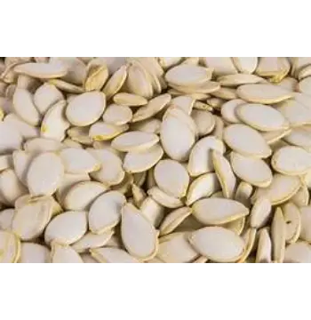 Fresh Squash Seed